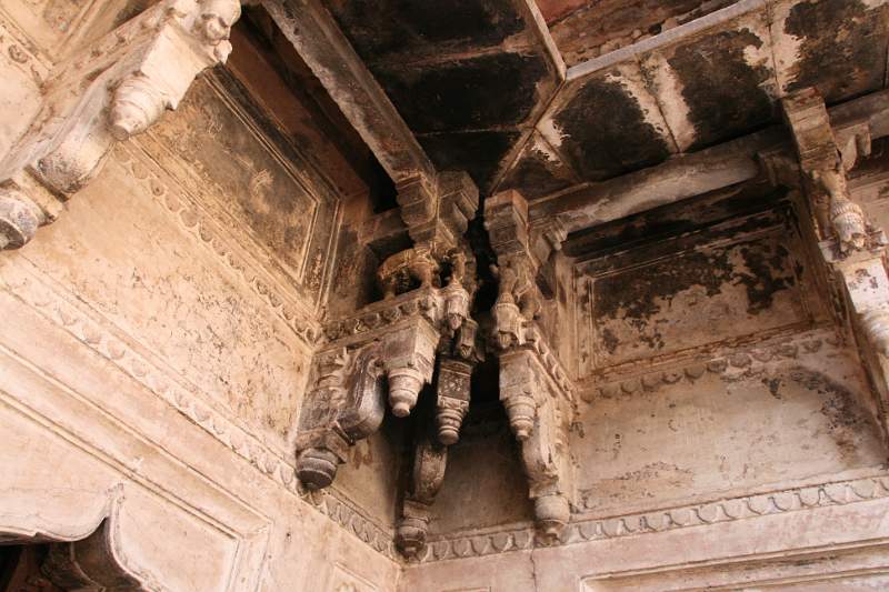 India & Nepal 2011 - 1044